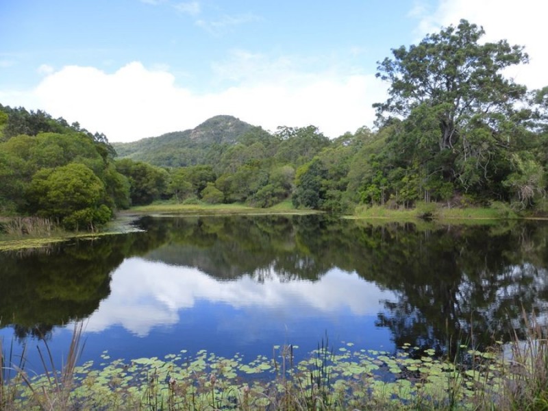 Cedar Pocket QLD 4570