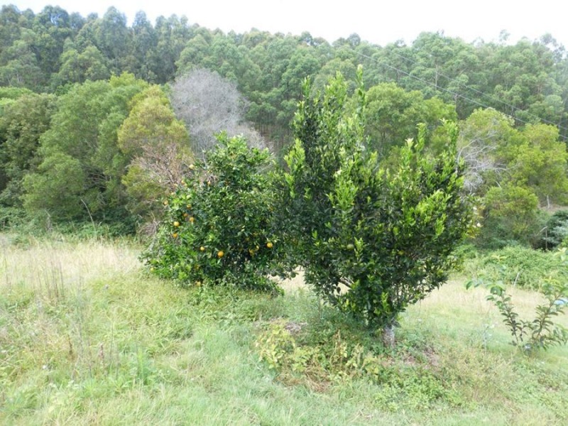 Cedar Pocket QLD 4570