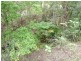 Cedar Pocket QLD 4570