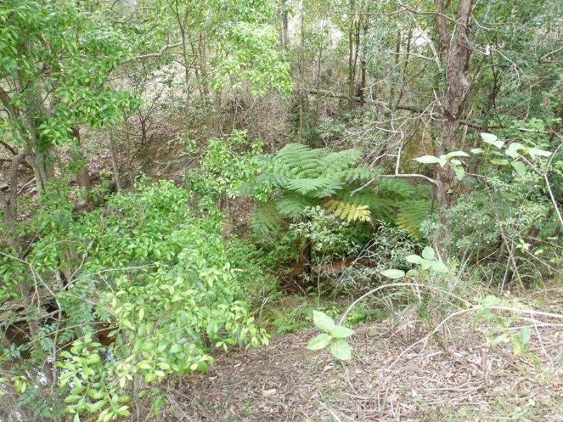 Cedar Pocket QLD 4570