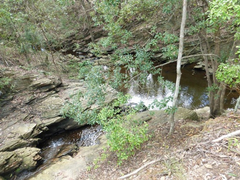 Cedar Pocket QLD 4570