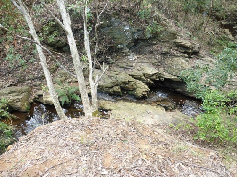 Cedar Pocket QLD 4570