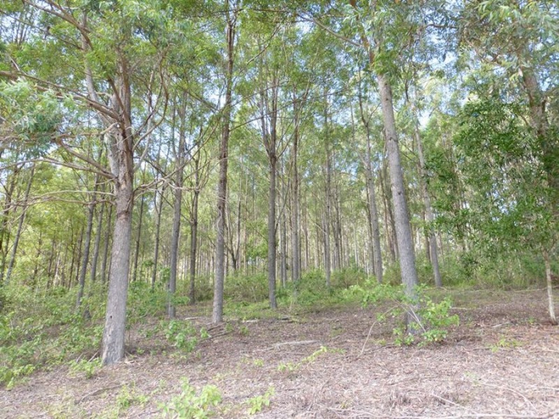Cedar Pocket QLD 4570