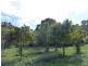 Cedar Pocket QLD 4570