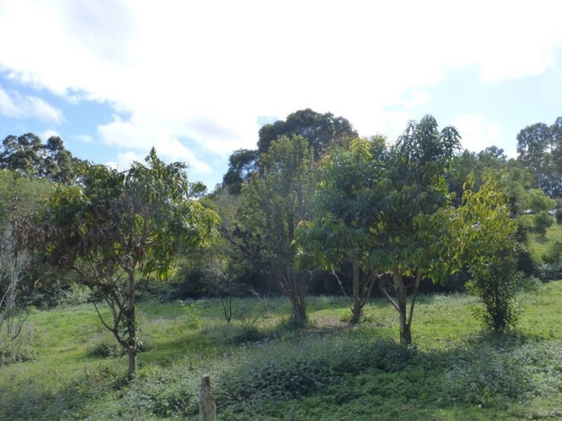 Cedar Pocket QLD 4570