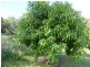 Cedar Pocket QLD 4570