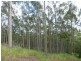 Cedar Pocket QLD 4570