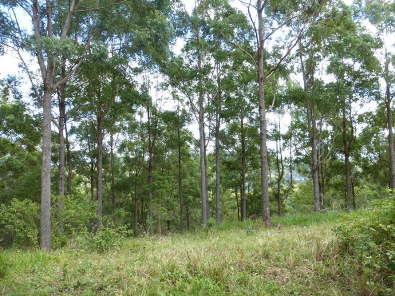 Cedar Pocket QLD 4570