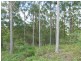 Cedar Pocket QLD 4570