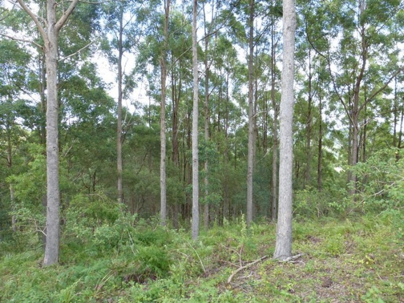 Cedar Pocket QLD 4570