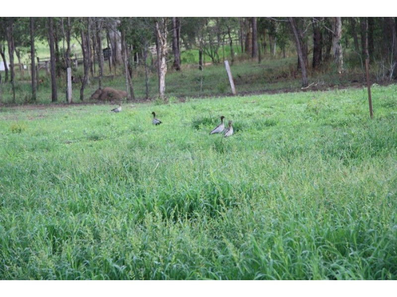 Anderleigh QLD 4570