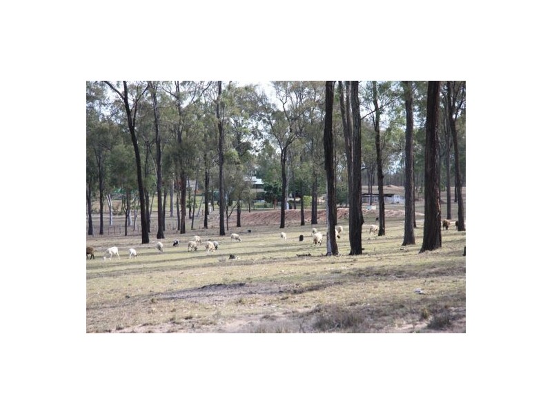 Coverty QLD 4613