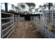 Coverty QLD 4613