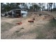 Coverty QLD 4613