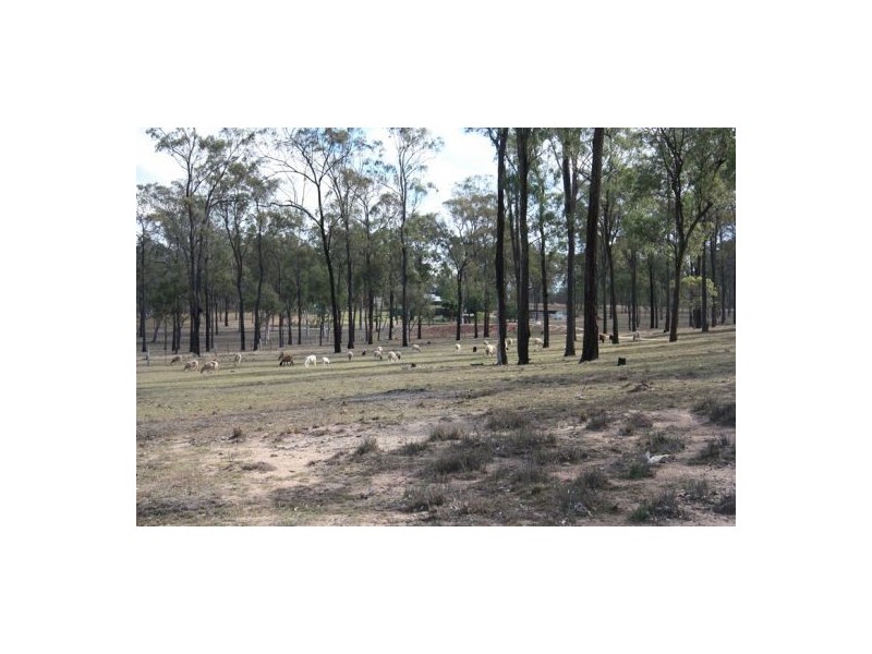 Coverty QLD 4613