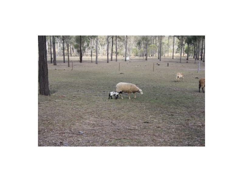 Coverty QLD 4613