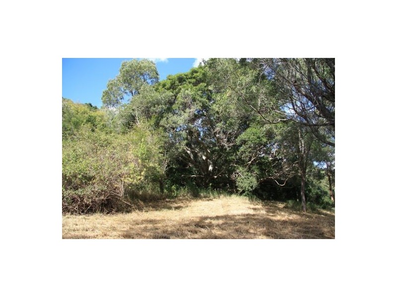 Scrubby Creek QLD 4570