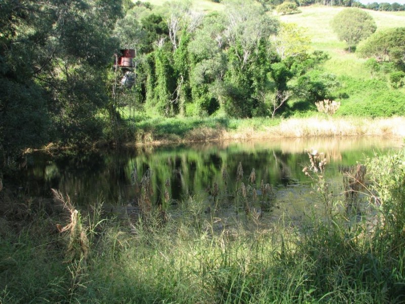 Scrubby Creek QLD 4570