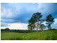 167 Fosters Lane, Anderleigh QLD 4570
