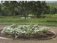 167 Fosters Lane, Anderleigh QLD 4570