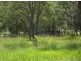 167 Fosters Lane, Anderleigh QLD 4570