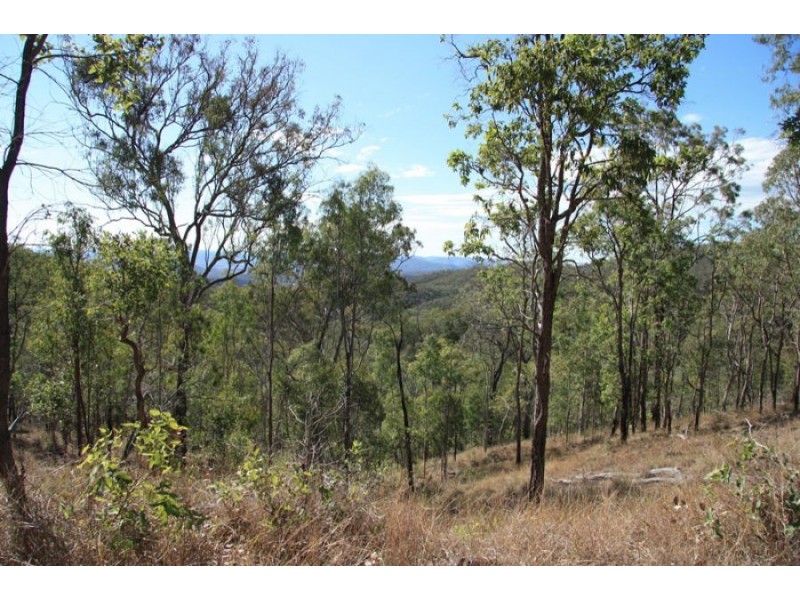 Black Snake QLD 4600