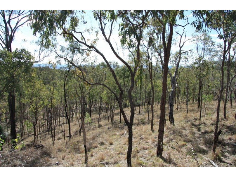 Black Snake QLD 4600