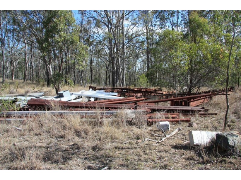 Black Snake QLD 4600