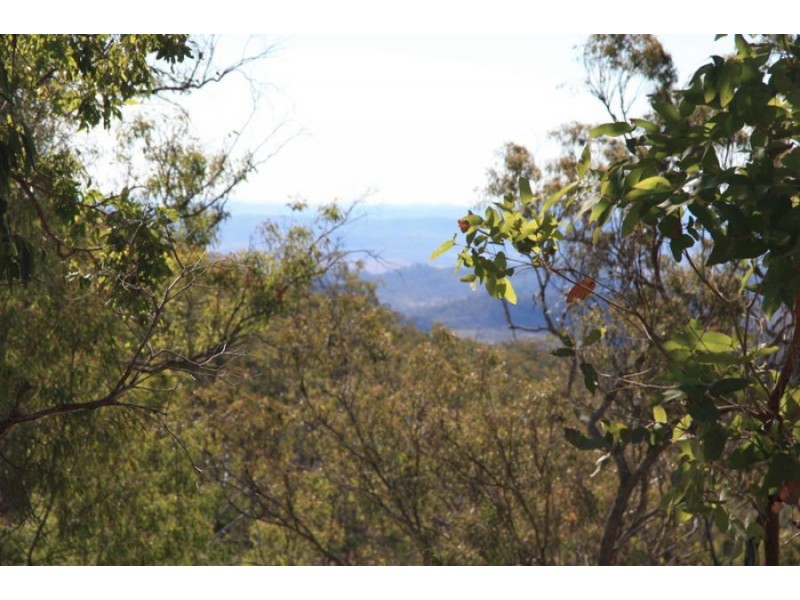 Black Snake QLD 4600