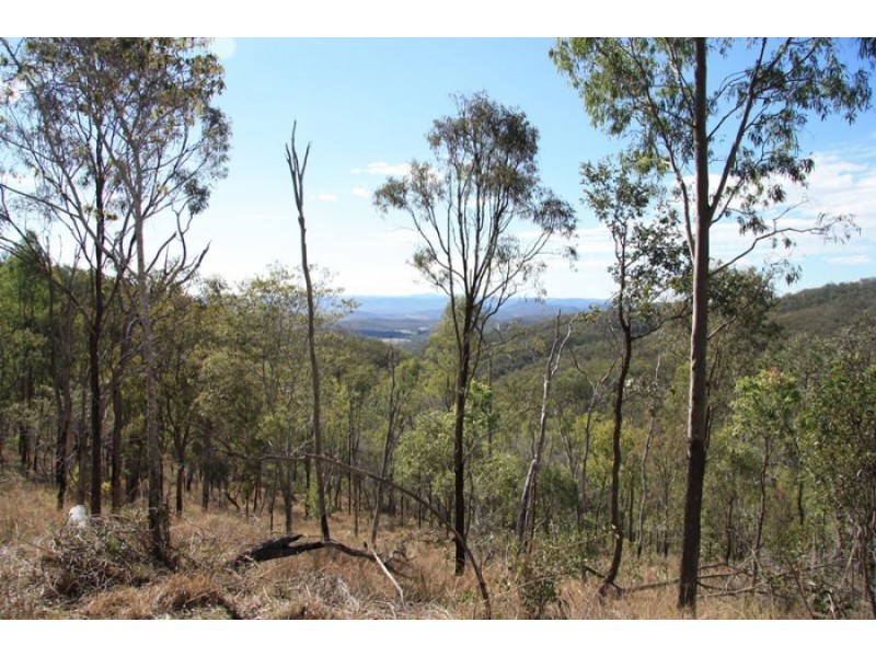 Black Snake QLD 4600