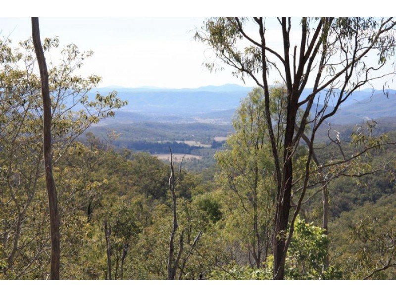 Black Snake QLD 4600