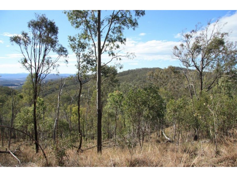 Black Snake QLD 4600