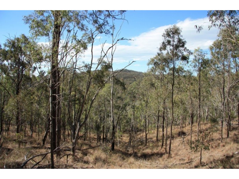 Black Snake QLD 4600