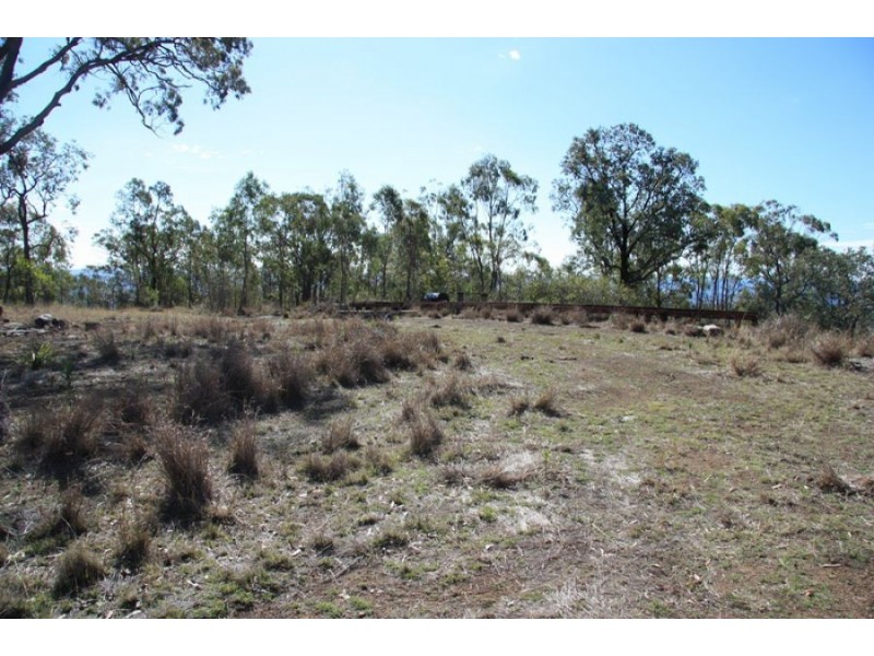 Black Snake QLD 4600