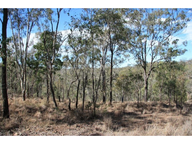 Black Snake QLD 4600