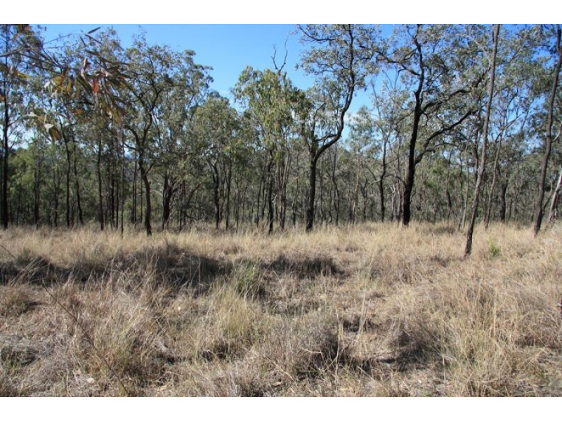 Black Snake QLD 4600