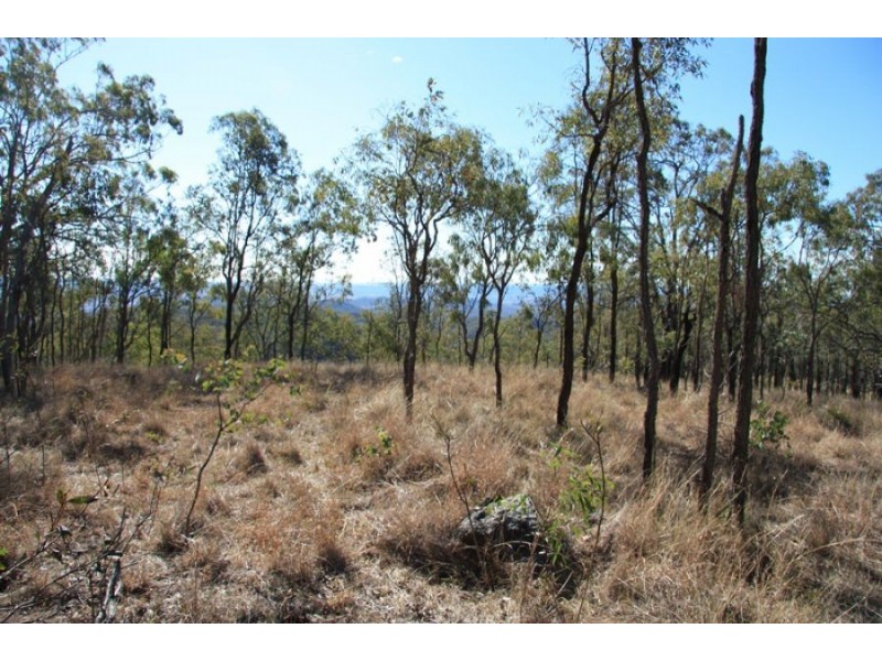 Black Snake QLD 4600