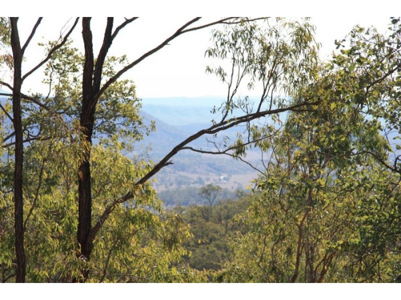 Black Snake QLD 4600