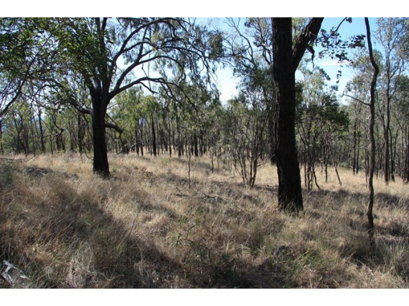 Black Snake QLD 4600