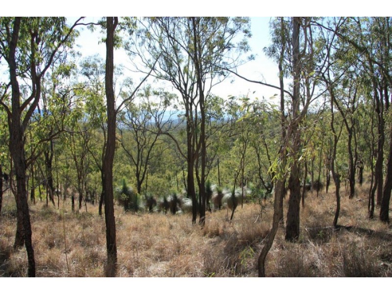 Black Snake QLD 4600