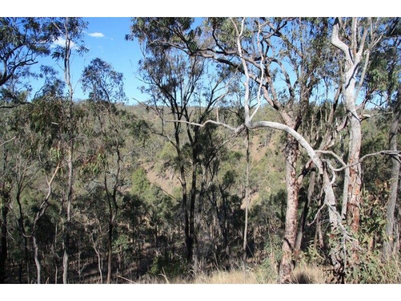 Black Snake QLD 4600