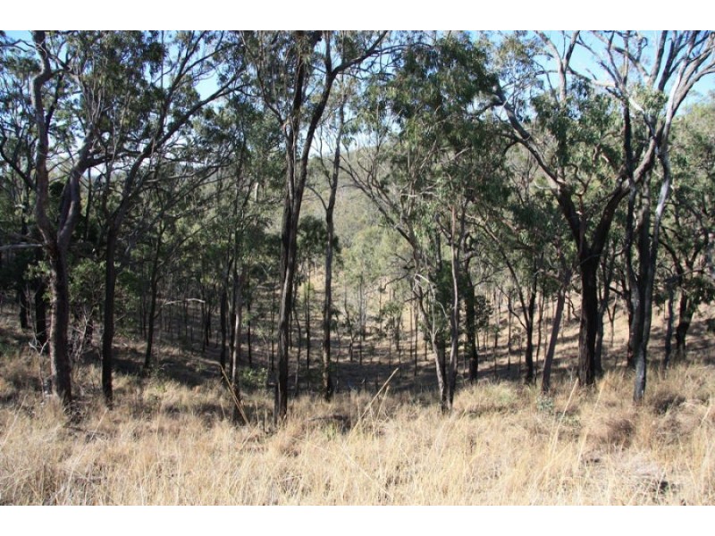 Black Snake QLD 4600