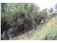 Stonelands QLD 4612
