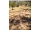 Lot 130 Miva Road, Theebine QLD 4570