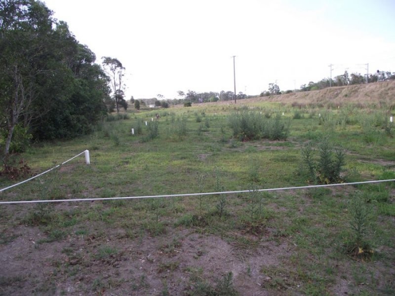 Tamaree QLD 4570