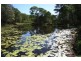 Canina QLD 4570