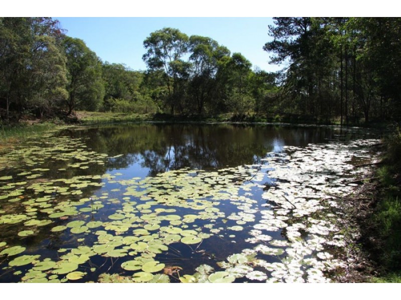 Canina QLD 4570