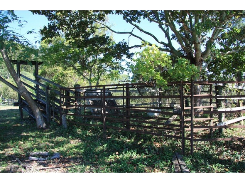 Canina QLD 4570