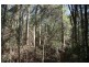 Canina QLD 4570