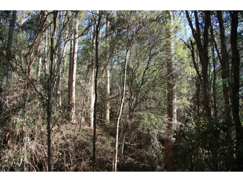 Canina QLD 4570